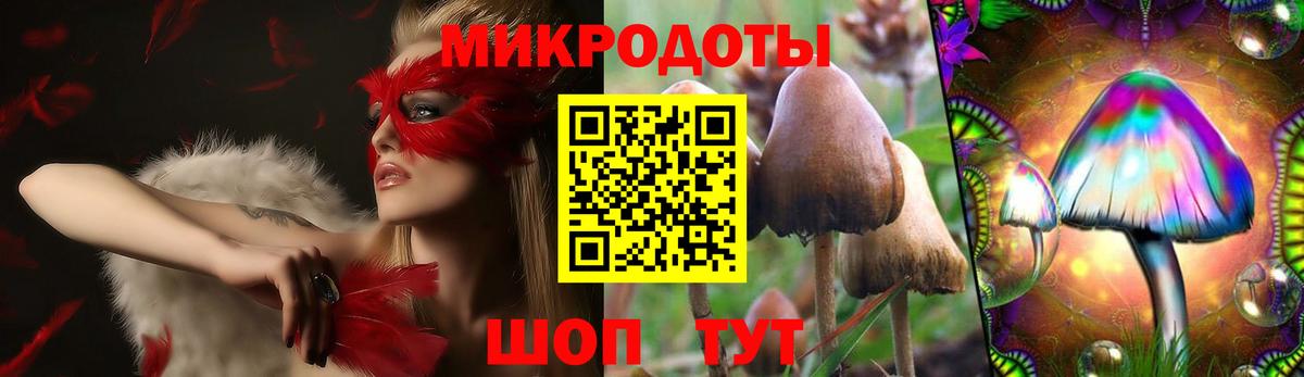 Галлюциногенные грибы ЛСД  Вход с VPN  даркнет сайт  Галлюциногенные грибы мухоморы  Славгород 